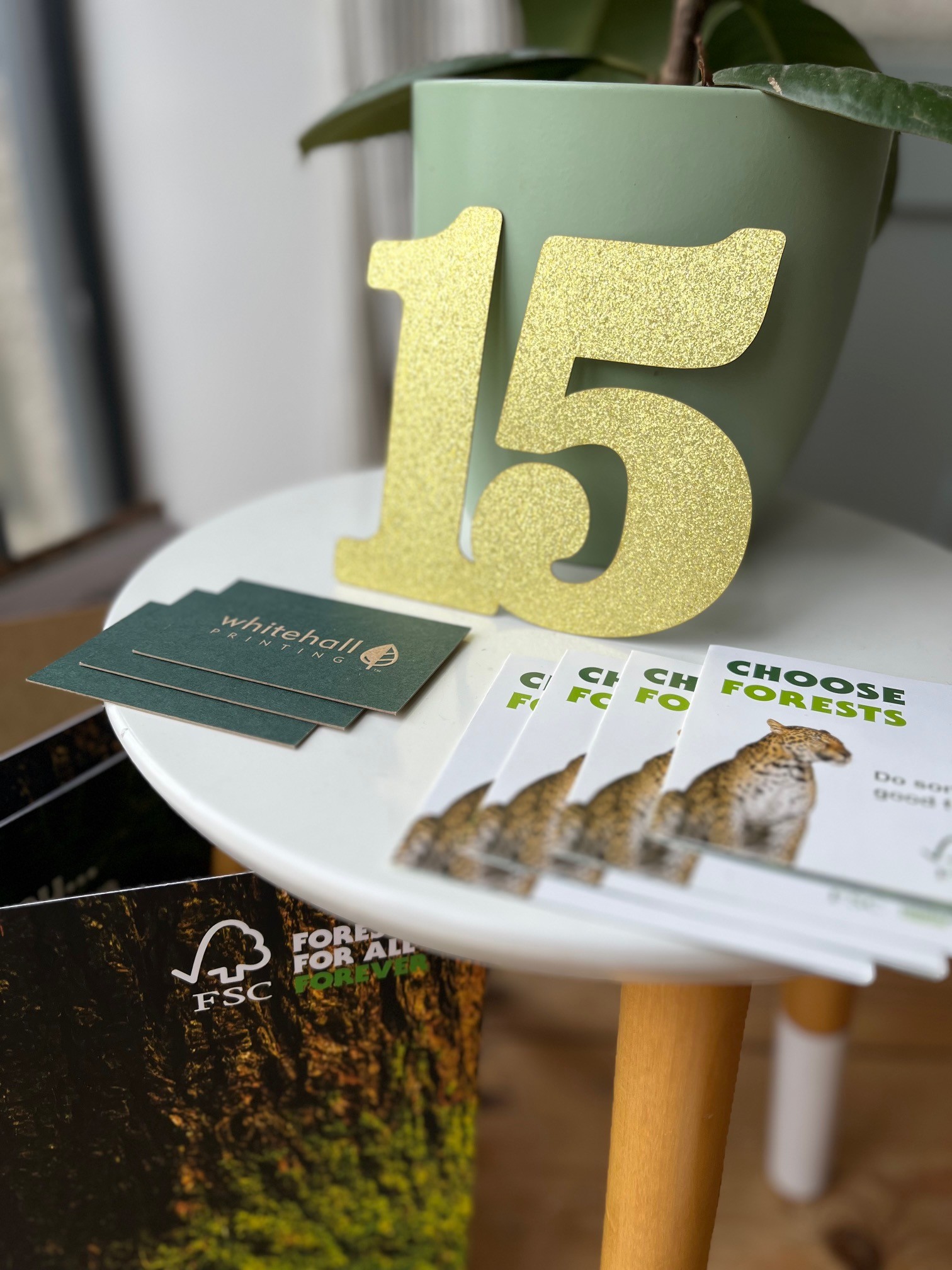 Celebrating 15 years of FSC print